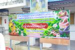 โครงการแก้ไขปัญหาว่างงานฯ หลักสูตรการฝึกอบรมภูมิปัญญาการแพทย